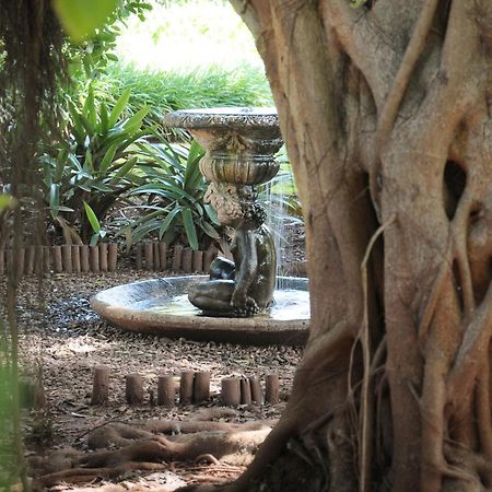 לואי טריכארט Mount Azimbo Lodge מראה חיצוני תמונה