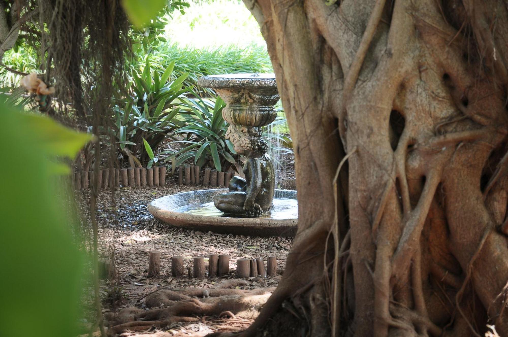 לואי טריכארט Mount Azimbo Lodge מראה חיצוני תמונה